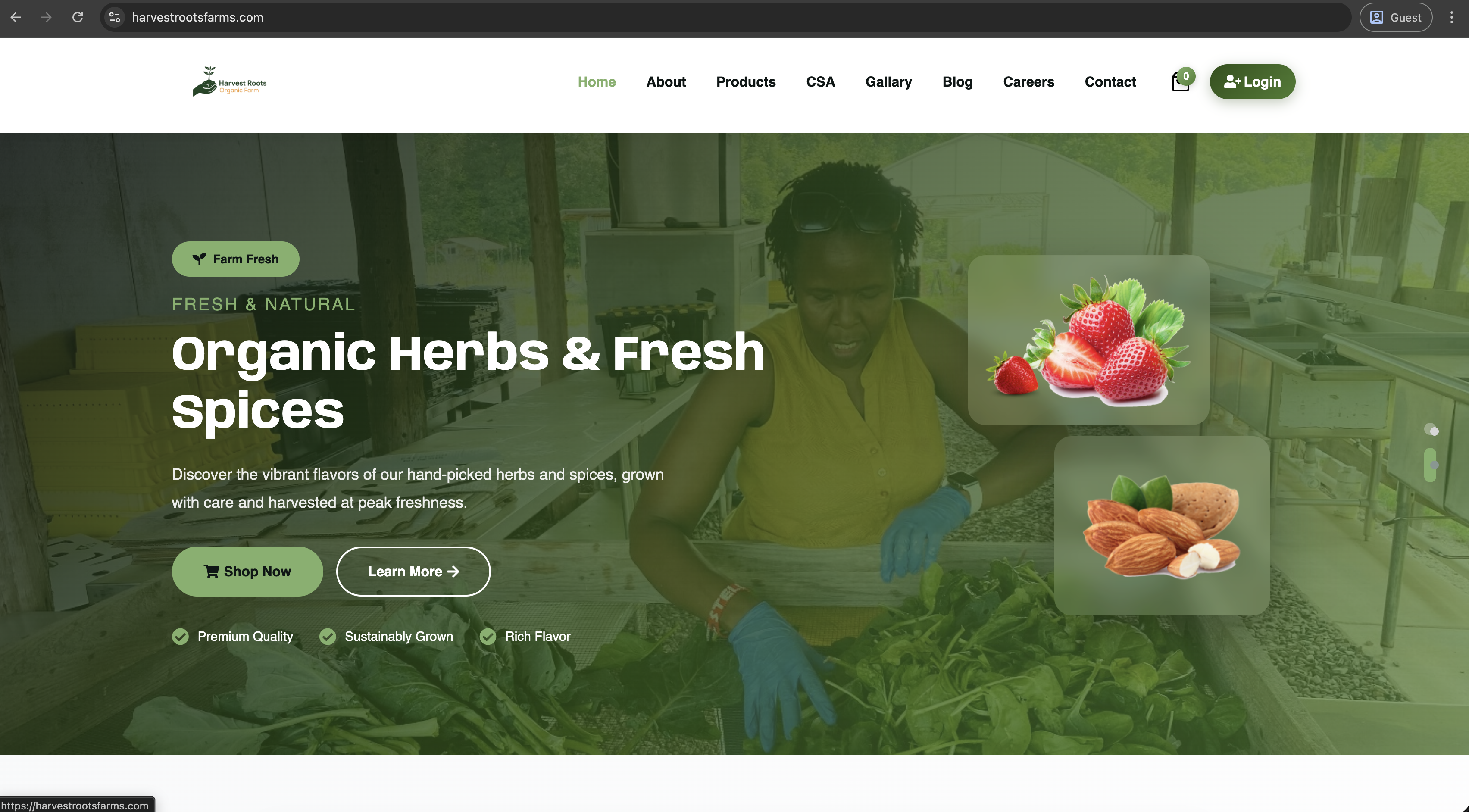 Harvest Roots Farms
